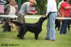 Huntlovers Olympic Gold Winner Diedersdorf 2008 Sieger Brandenburg