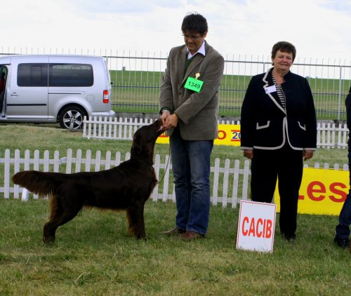 CACIB Leszno