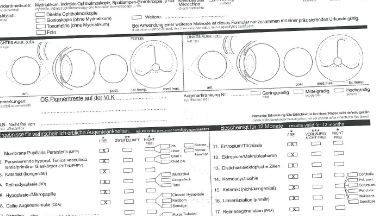 Befundbogen