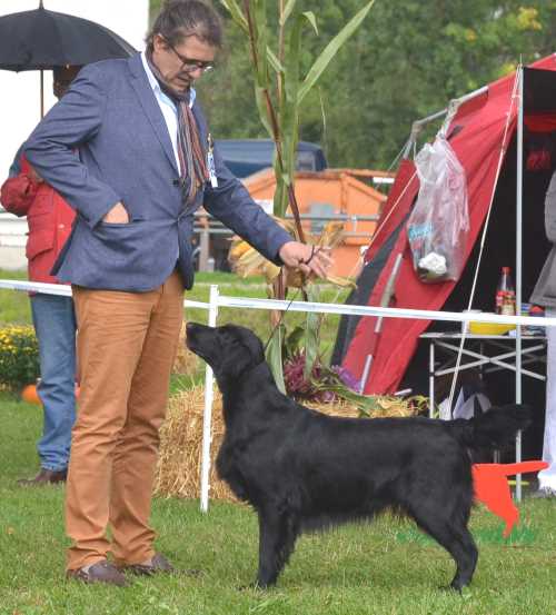 Magenta Winnenden