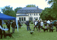 schlossspringe.gif (18160 Byte)